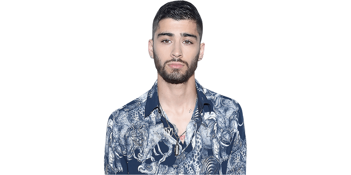 Zayn Malik Shirt Half Body Buddy